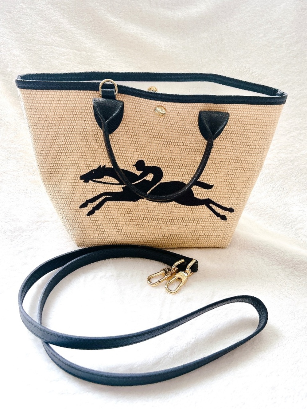 Longchamp LE PLIAGE PAINER COLLECTION XS BASKET BAG handbag
